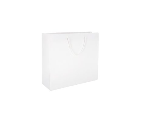 PREM-1: 200 x 100 x 180 mm paper bag with fabric handles 2