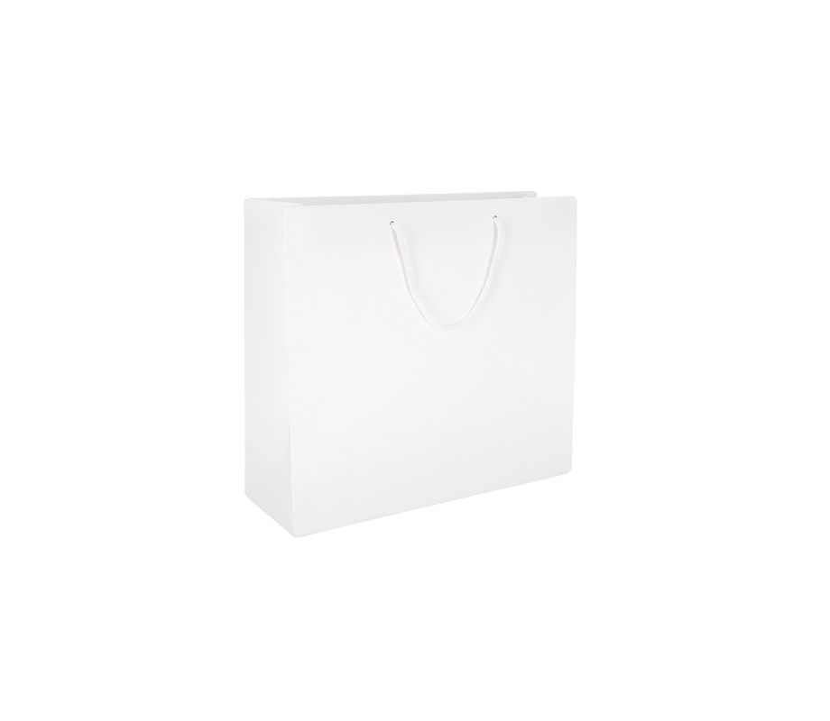 PREM-1: 200 x 100 x 180 mm paper bag with fabric handles 1