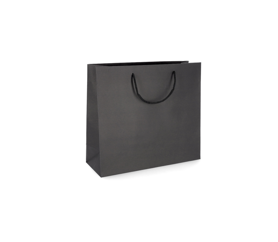 PREM-1: 200 x 100 x 180 mm paper bag with fabric handles 10