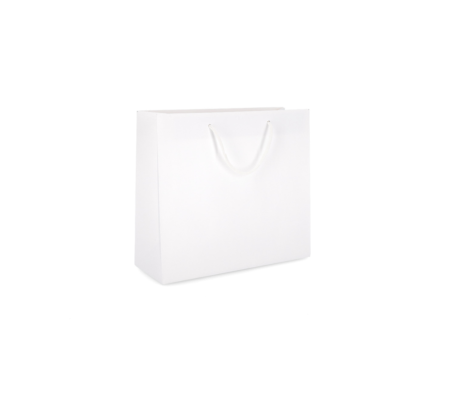 PREM-2: 280 x 120 x 240 mm paper bag with fabric handles 3