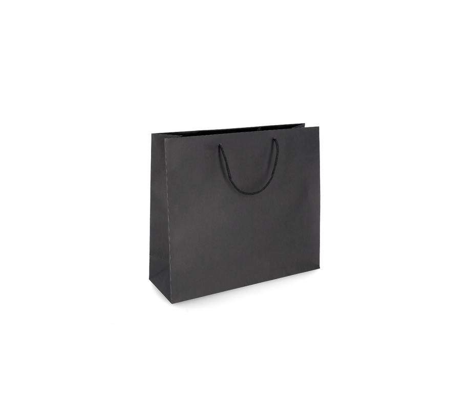 PREM-2: 280 x 120 x 240 mm paper bag with fabric handles 10