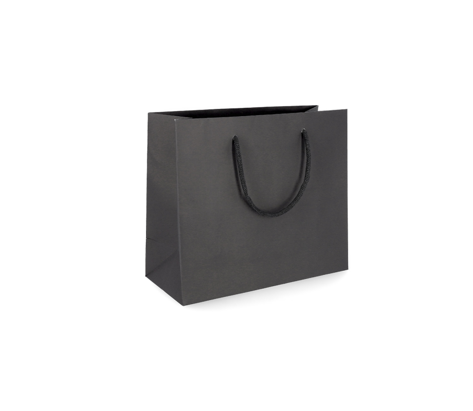 PREM-3: 360 x 130 x 320 mm paper bag with fabric handles 12