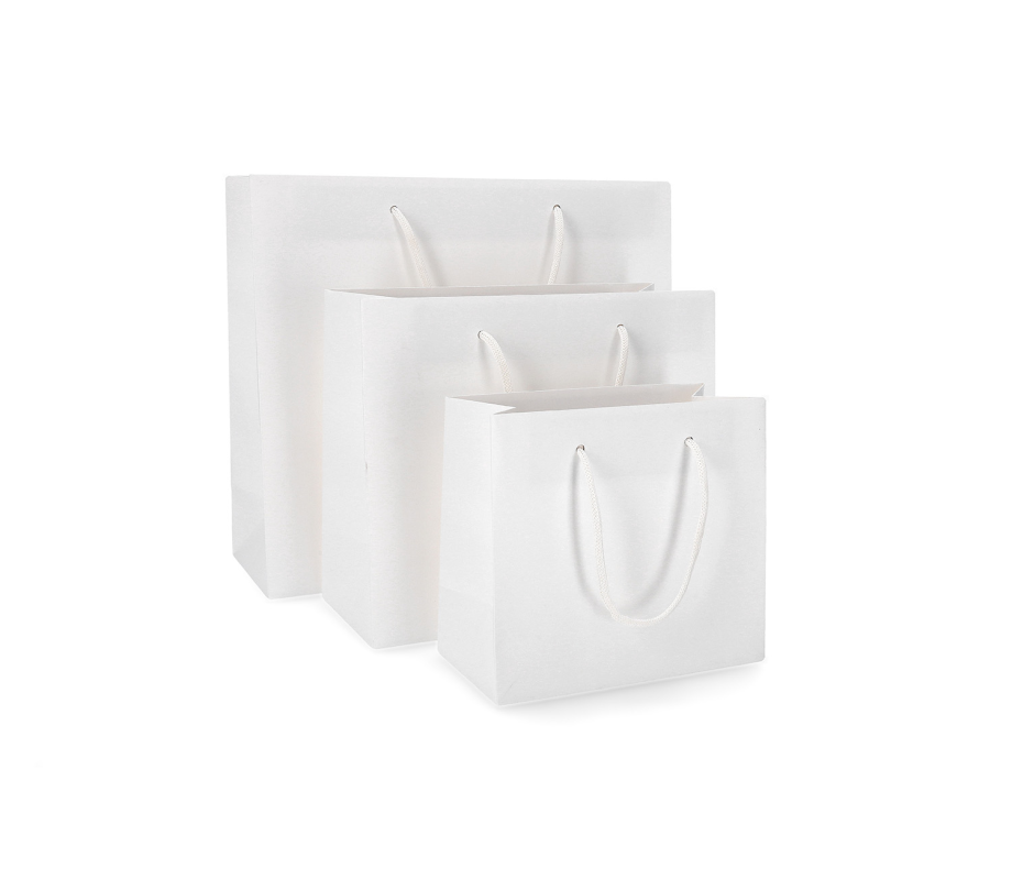 PREM-2: 280 x 120 x 240 mm paper bag with fabric handles 4