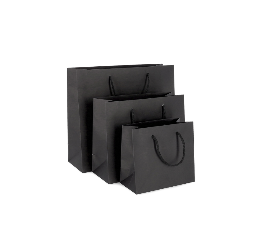 PREM-2: 280 x 120 x 240 mm paper bag with fabric handles 13