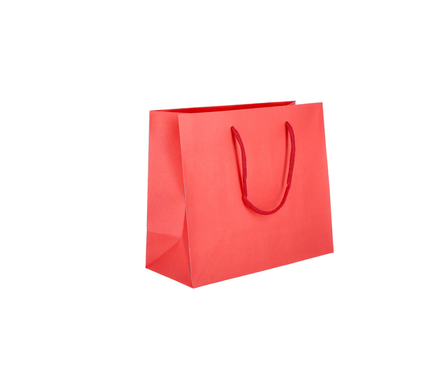 PREM-1: 200 x 100 x 180 mm paper bag with fabric handles 19