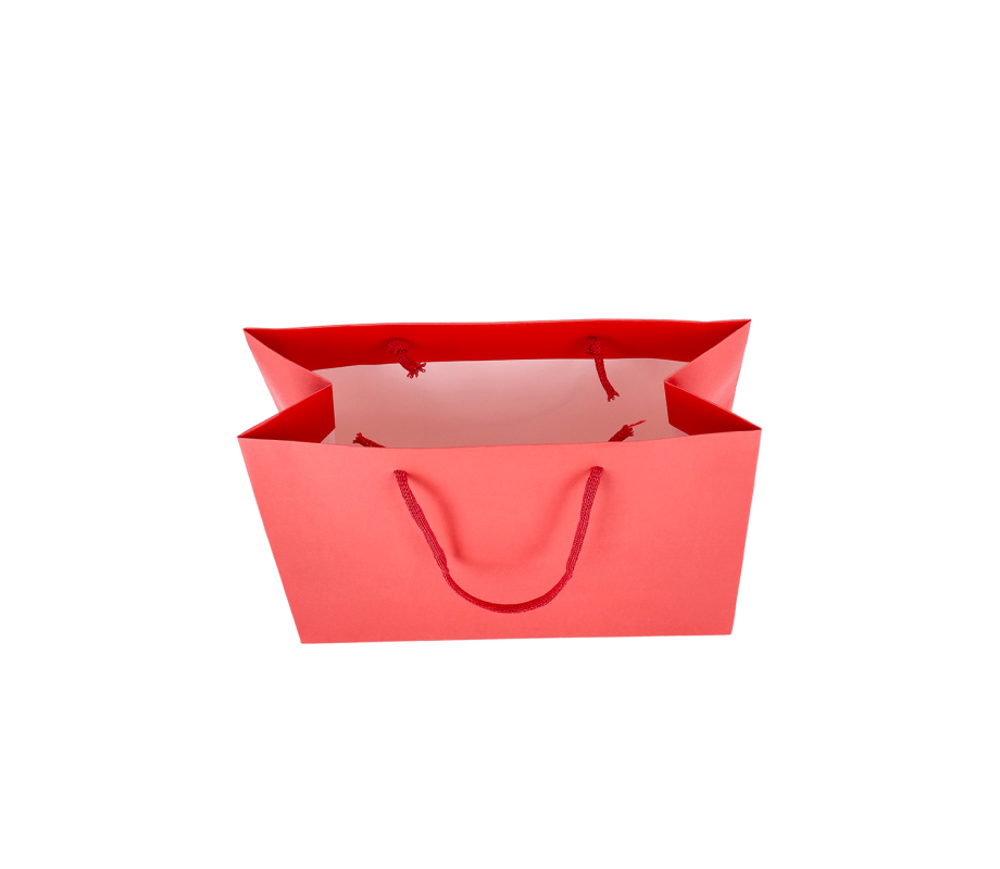 PREM-2: 280 x 120 x 240 mm paper bag with fabric handles 20