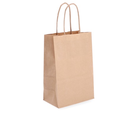 TW-1: 140 x 80 x 210 mm paper bag with twist paper handles 1