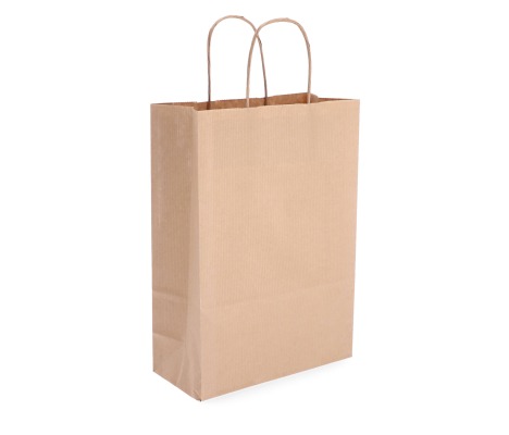 TW-3: 220 x 100 x 310 mm paper bag with twist paper handles 1