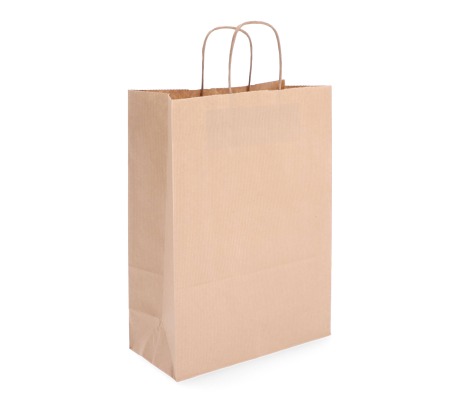 TW-6: 450 x 170 x 480 mm paper bag with twist paper handles 1