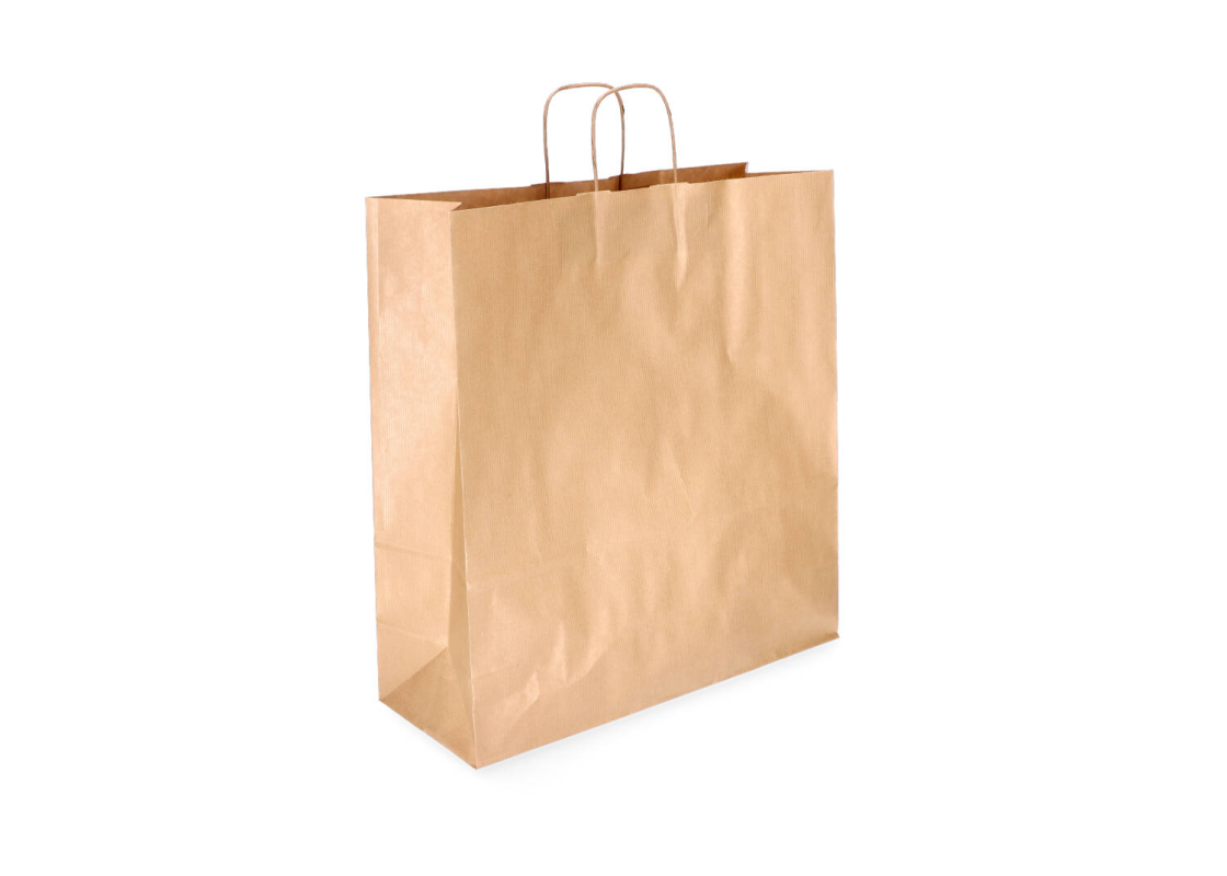 TW-7: 305 x 170 x 340 mm paper bag with twist paper handles 1